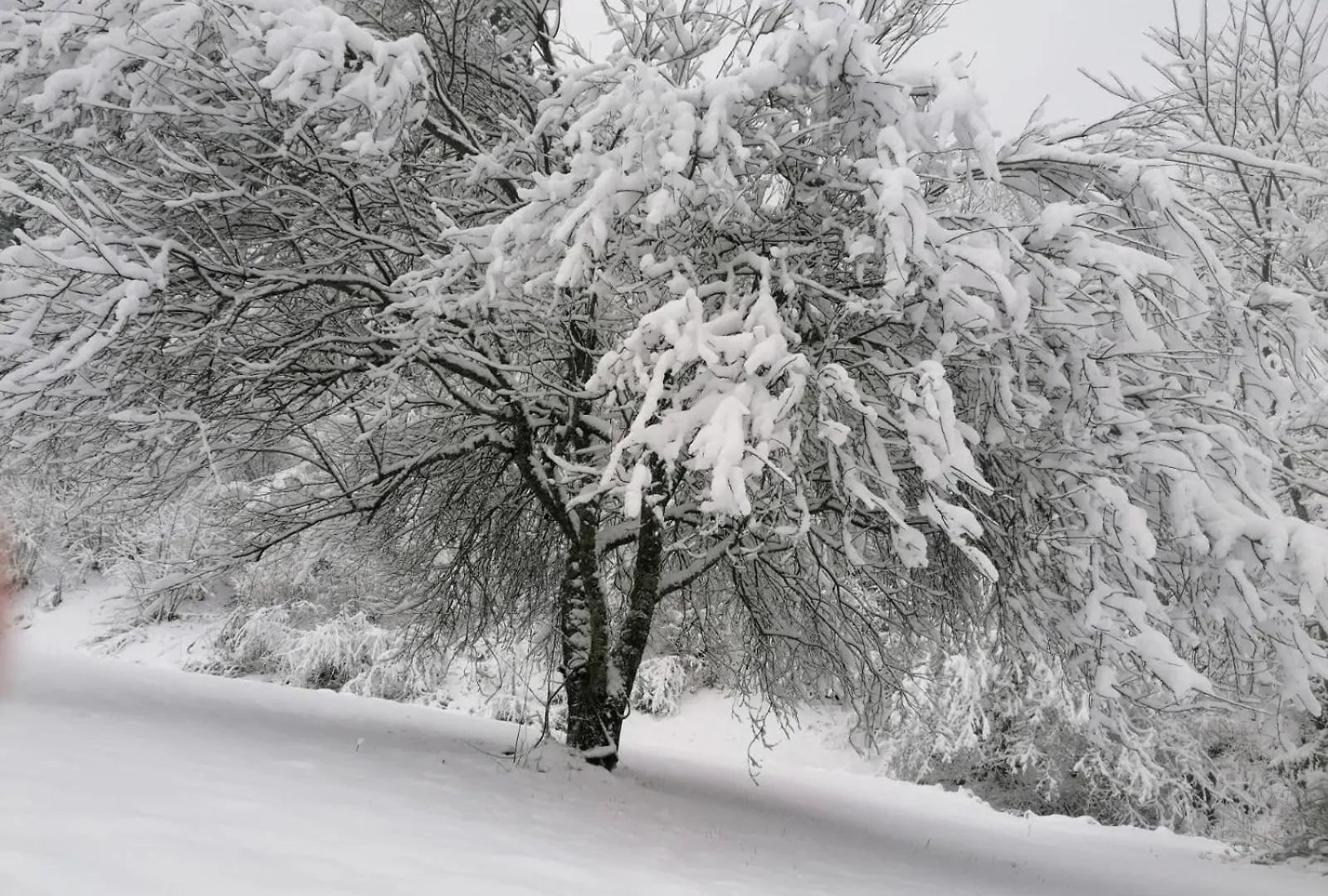 Gite Col Vert - Ski - Domaine Villard-de-Lans Francia